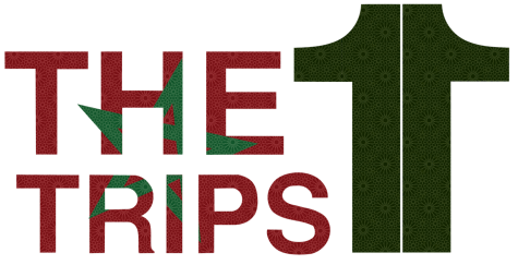 The 11 trips logo